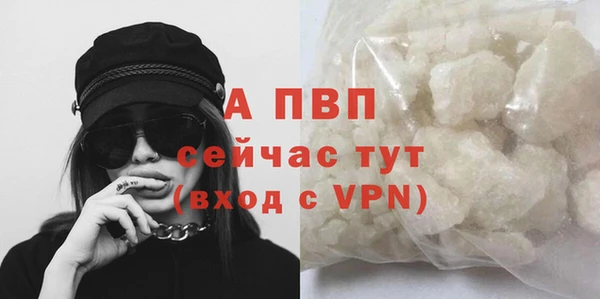 амф Алексин