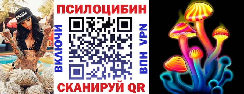 закладки  Сорочинск  Псилоцибиновые грибы мицелий 